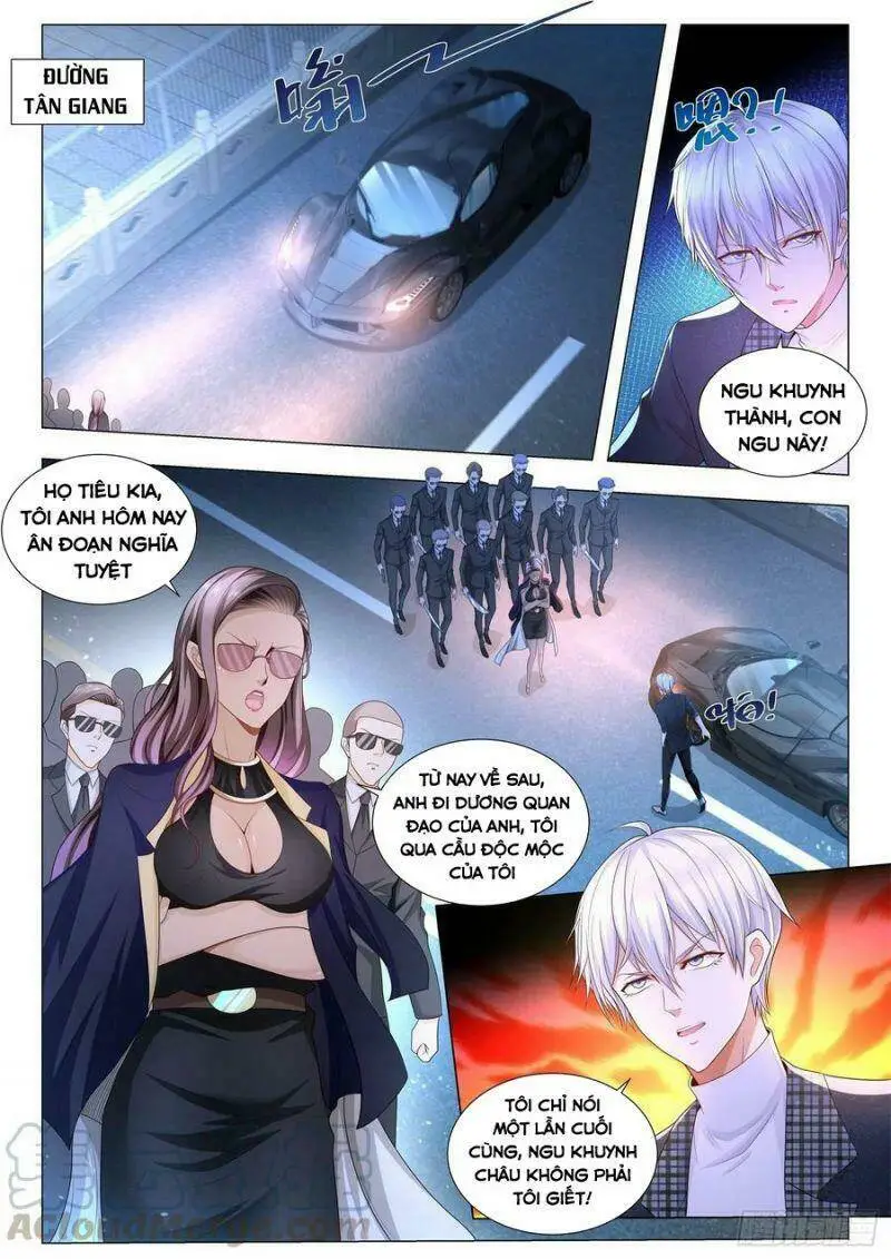 Chapter 243