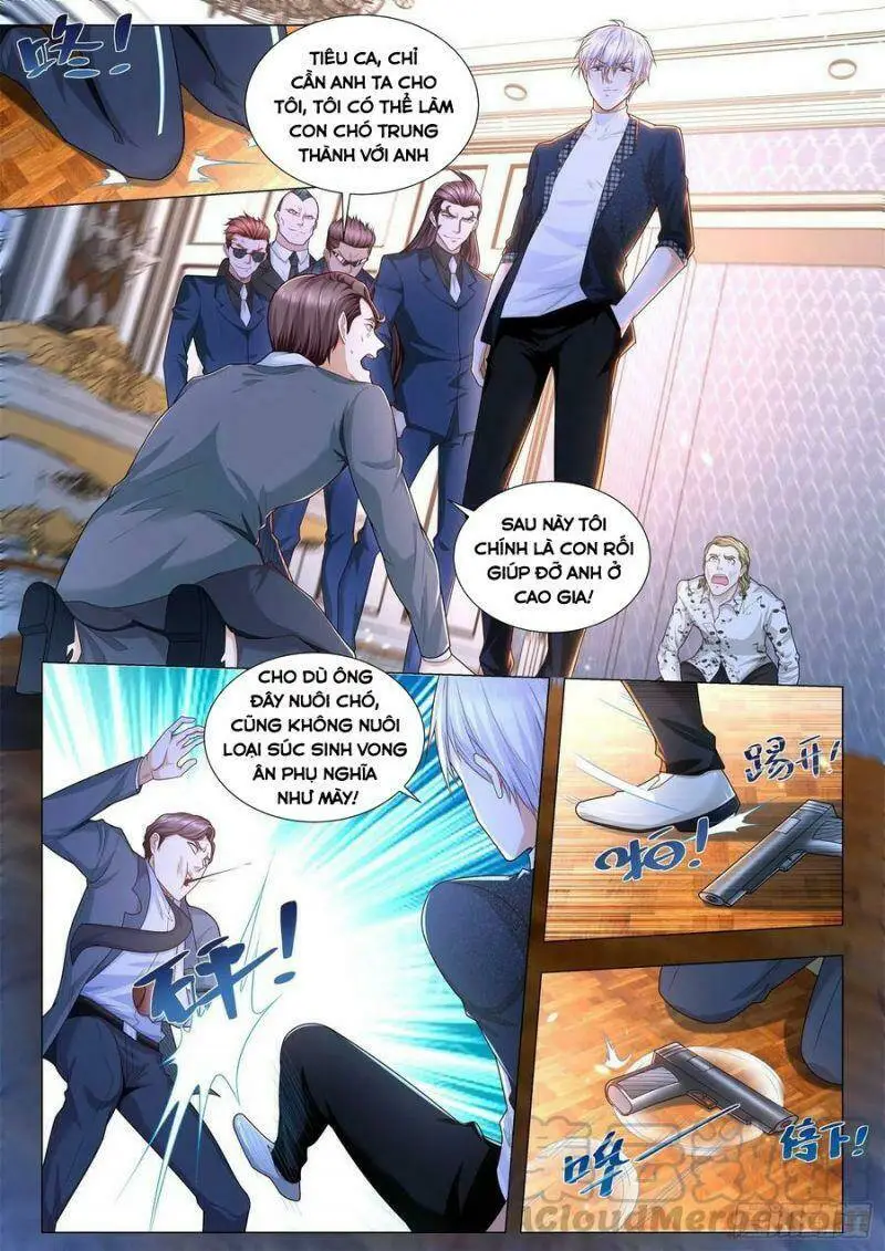 Chapter 243