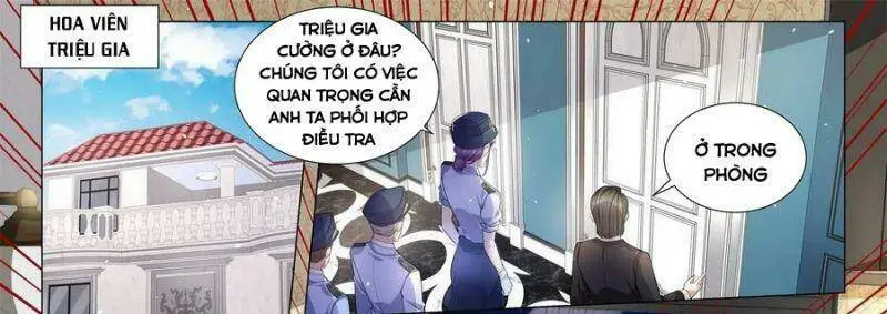 Chapter 242