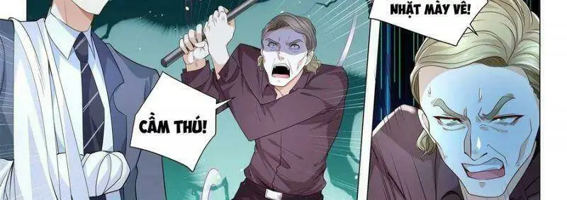 Chapter 242