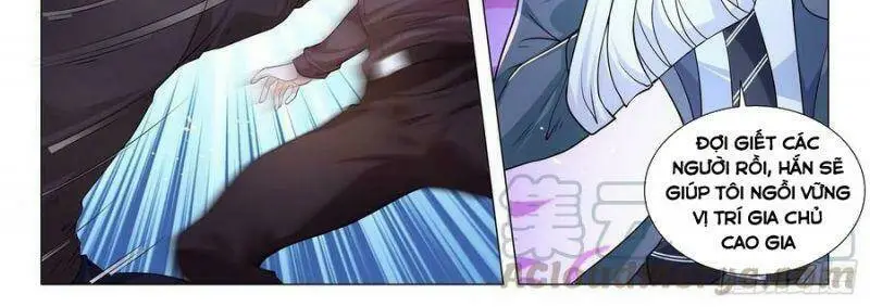 Chapter 242