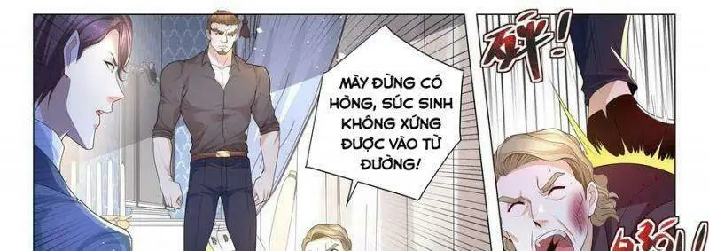 Chapter 242
