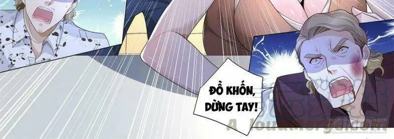 Chapter 242