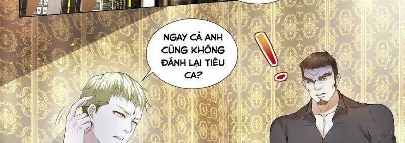 Chapter 242