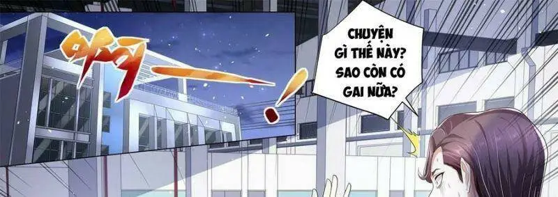 Chapter 241