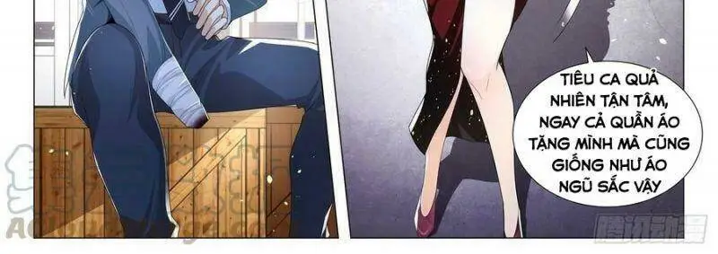 Chapter 241