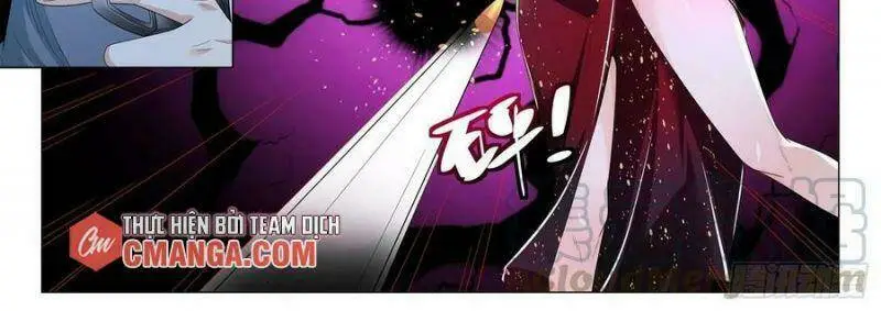 Chapter 241