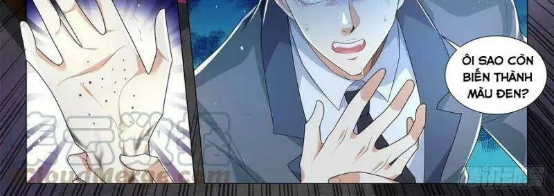 Chapter 241