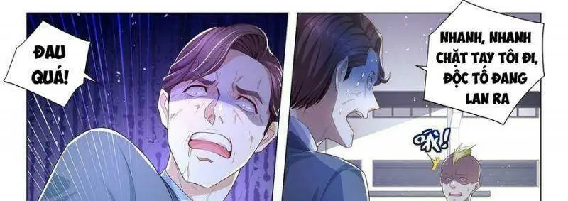 Chapter 241