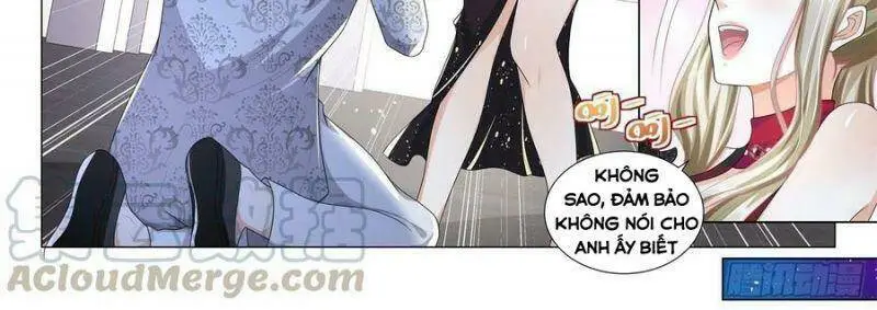 Chapter 241