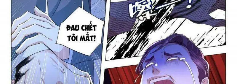 Chapter 241
