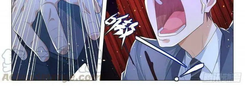 Chapter 241