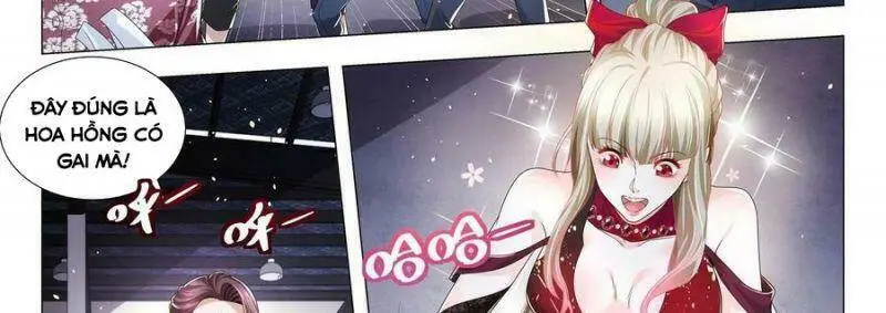 Chapter 241