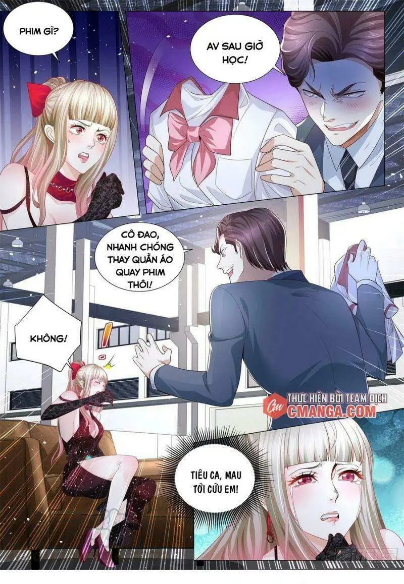 Chapter 240