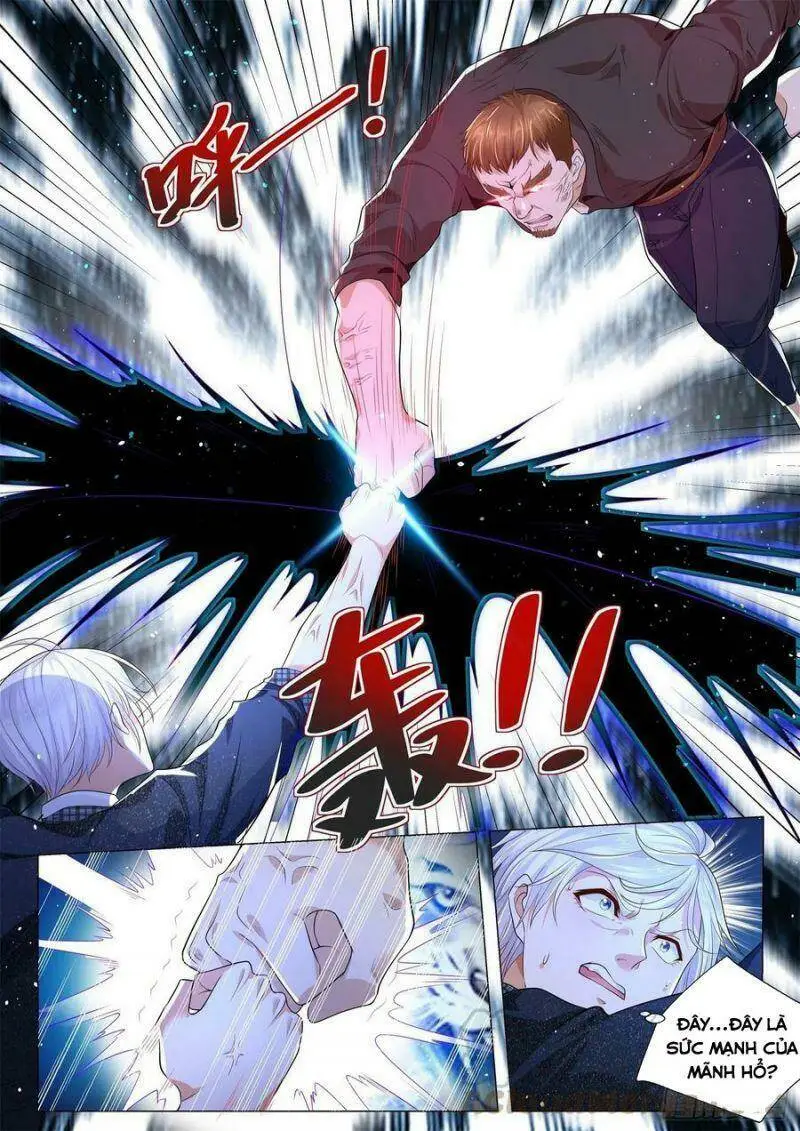 Chapter 240