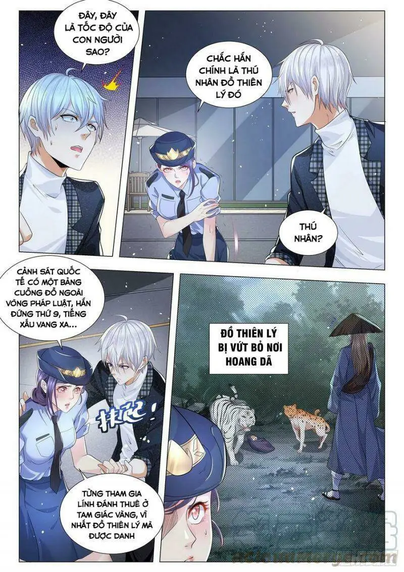 Chapter 240