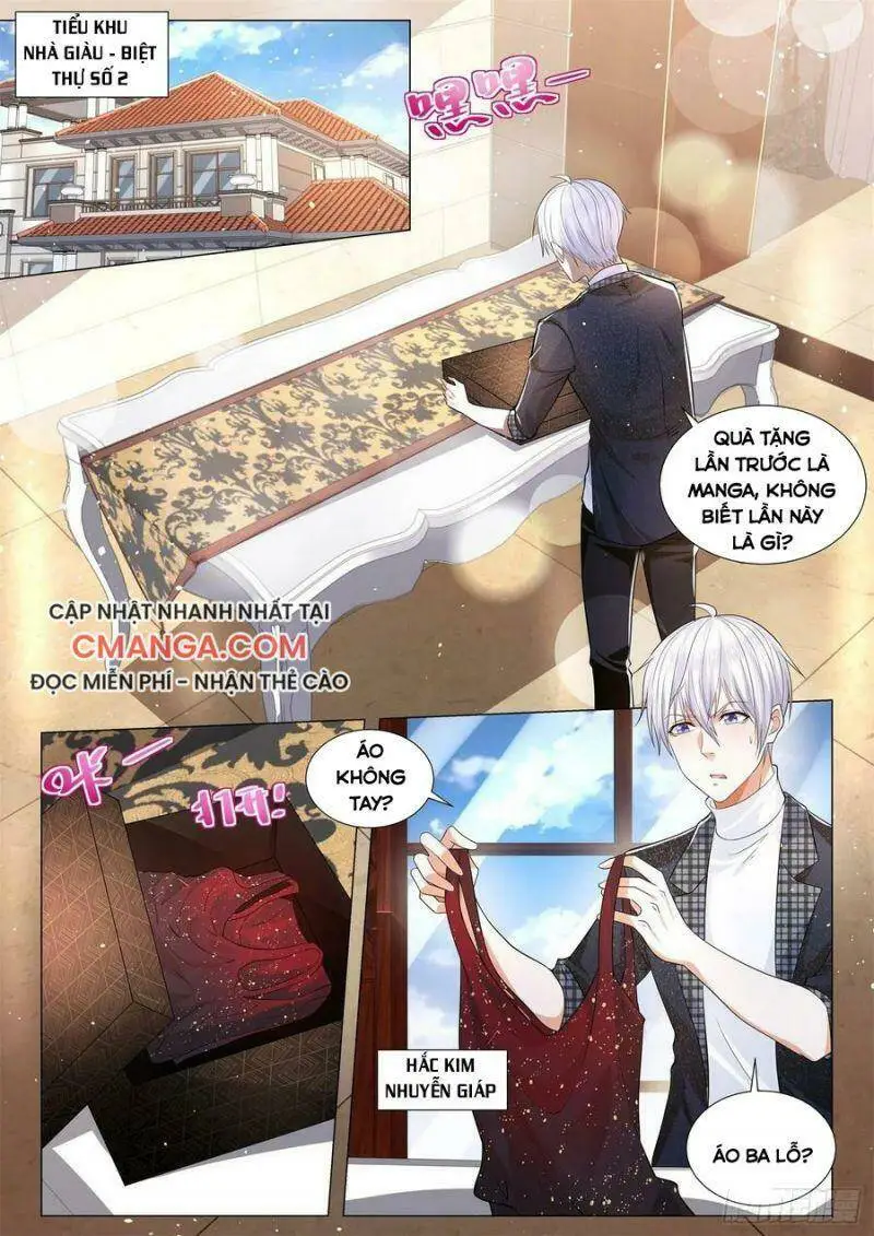 Chapter 236