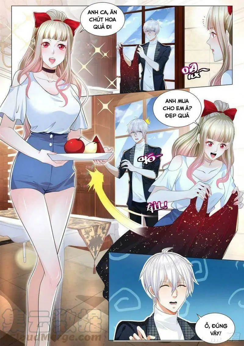Chapter 236