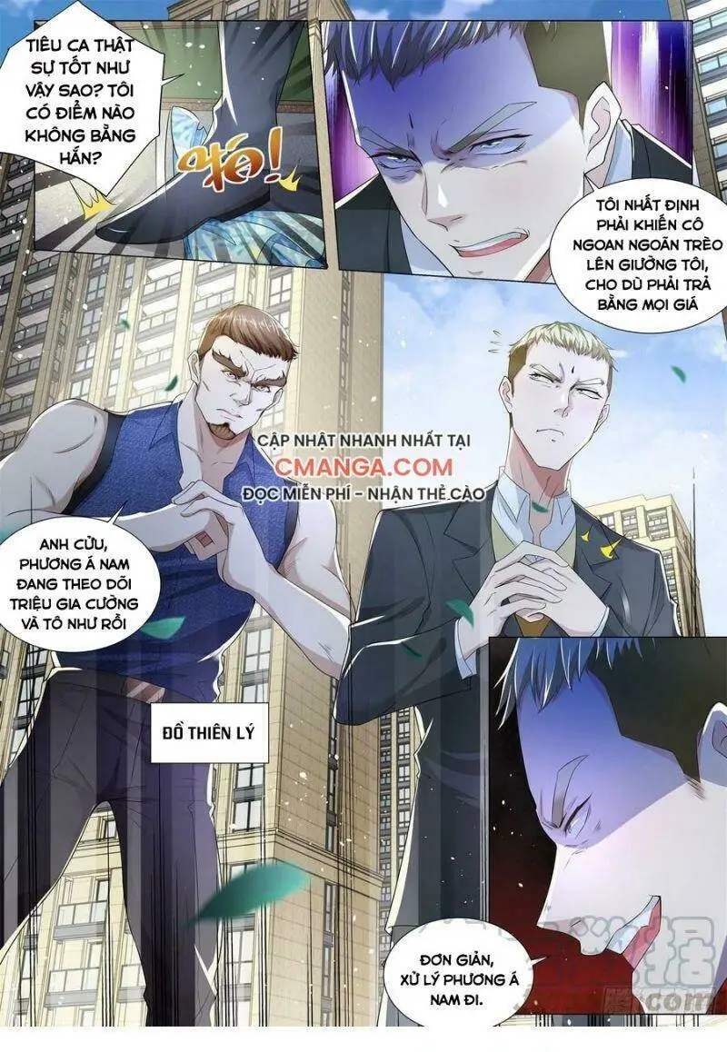 Chapter 236