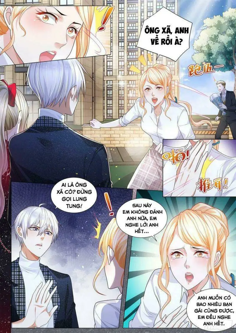 Chapter 236