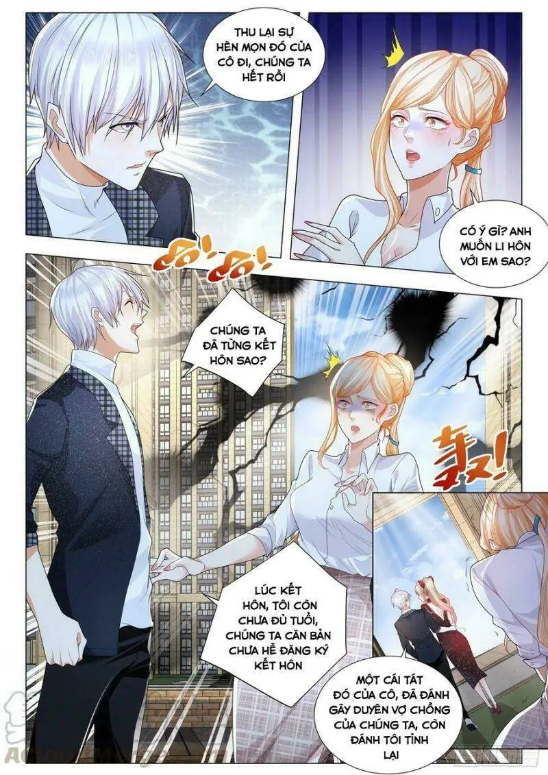 Chapter 236