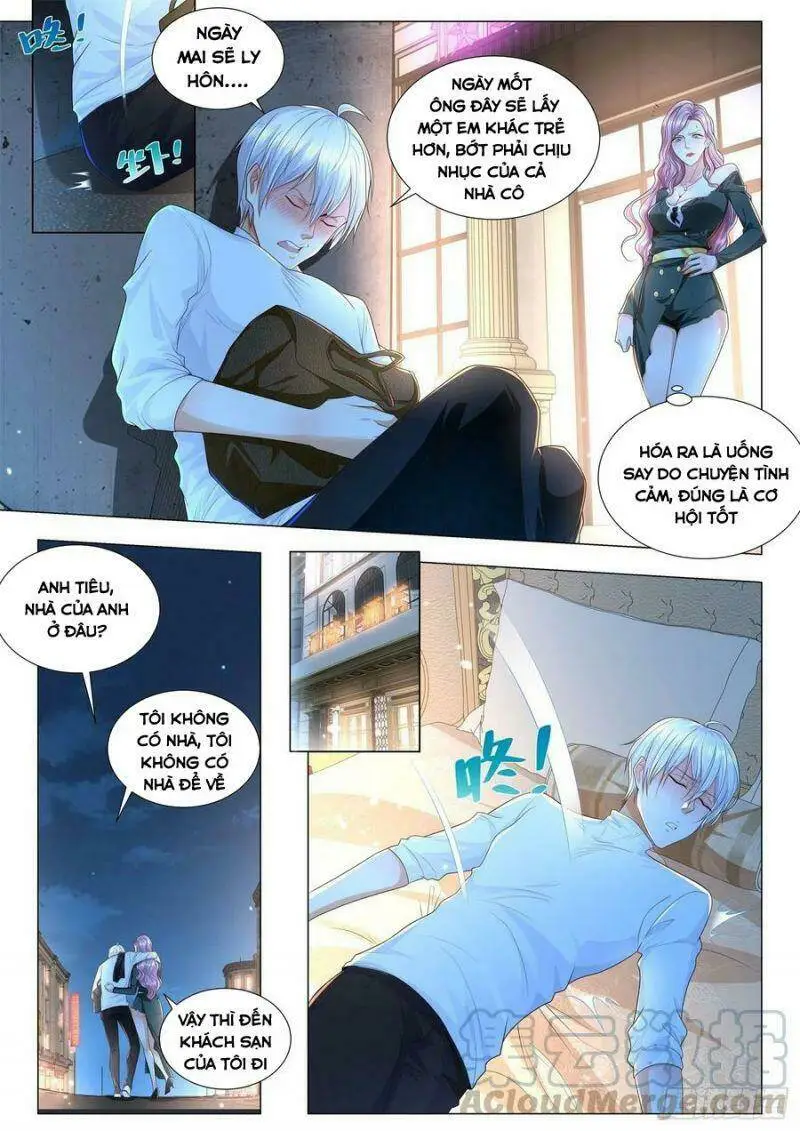 Chapter 234