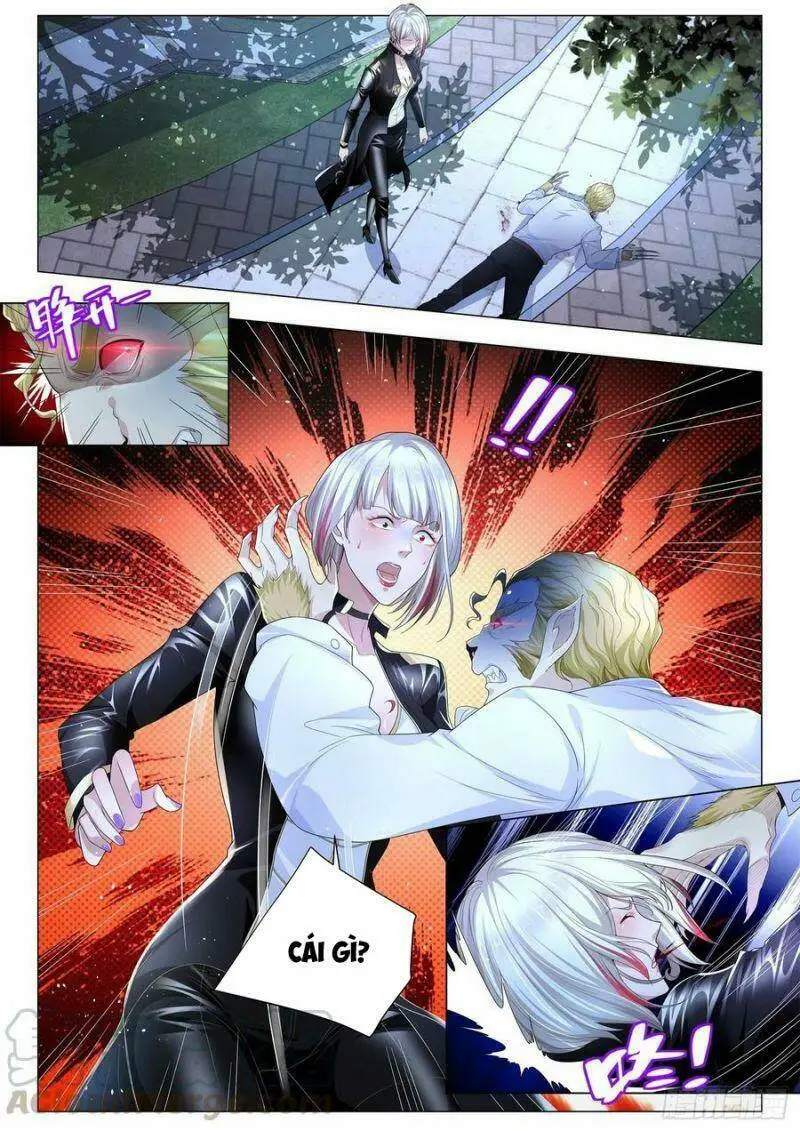 Chapter 232