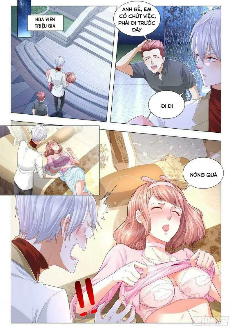 Chapter 221