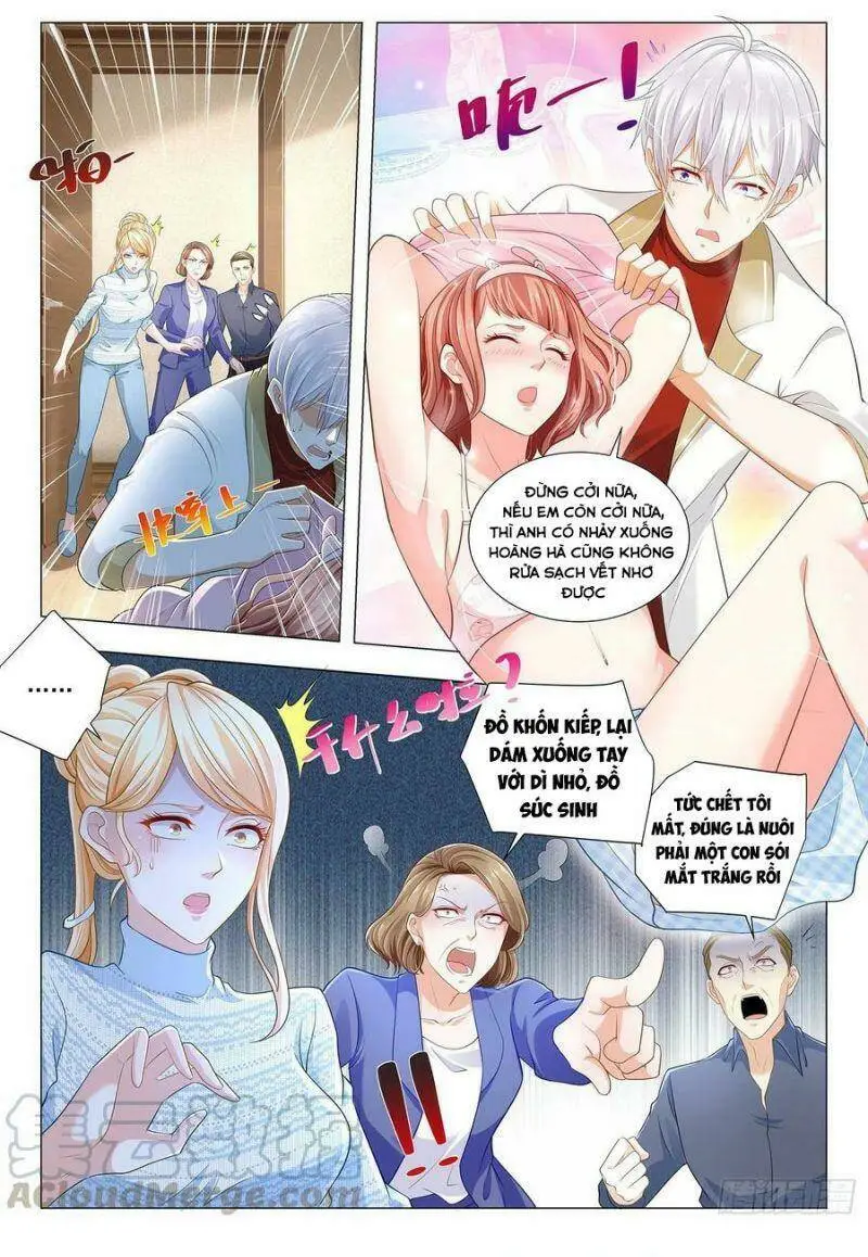 Chapter 221