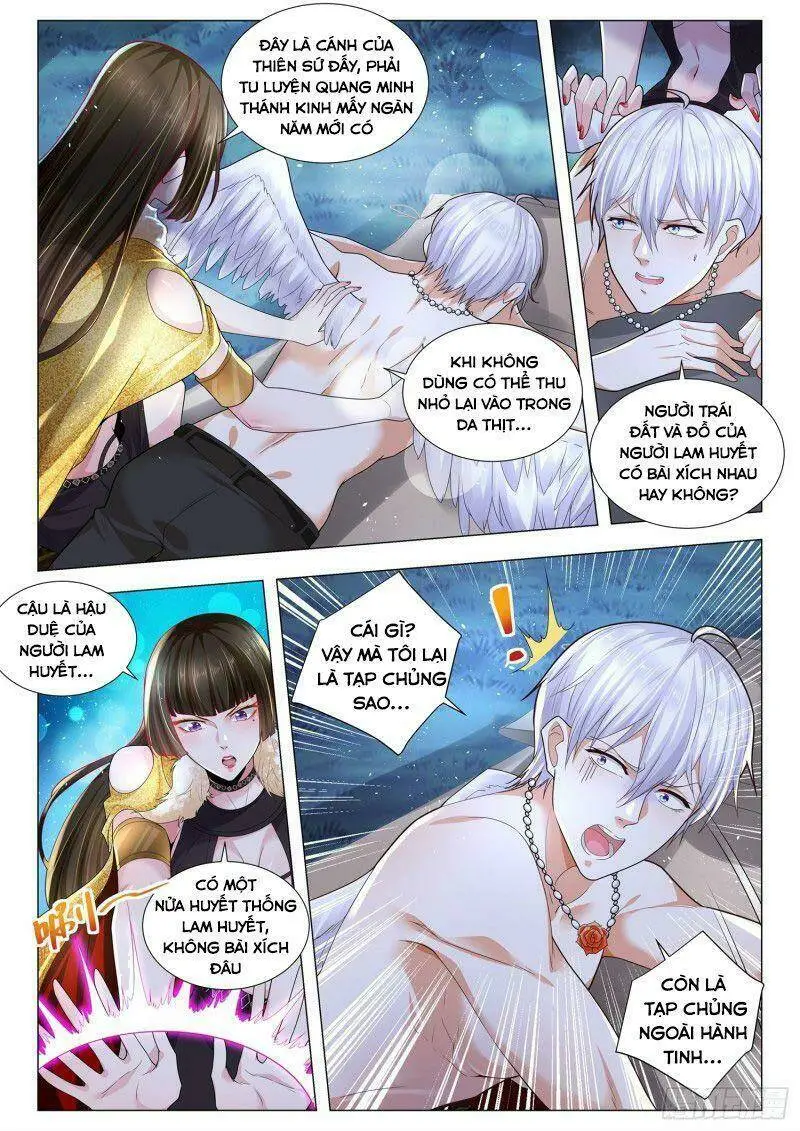 Chapter 219