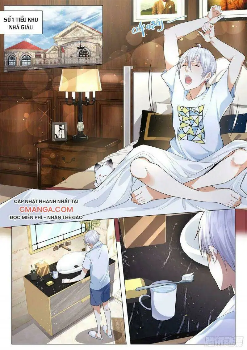 Chapter 213