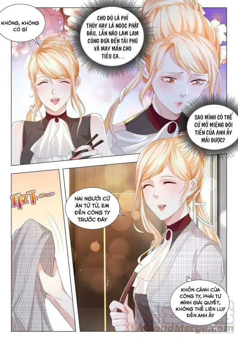 Chapter 213