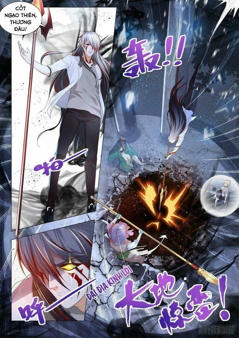 Chapter 211