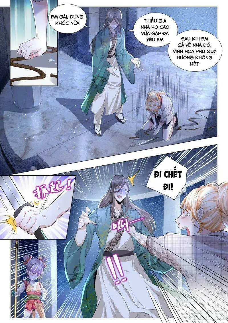 Chapter 211