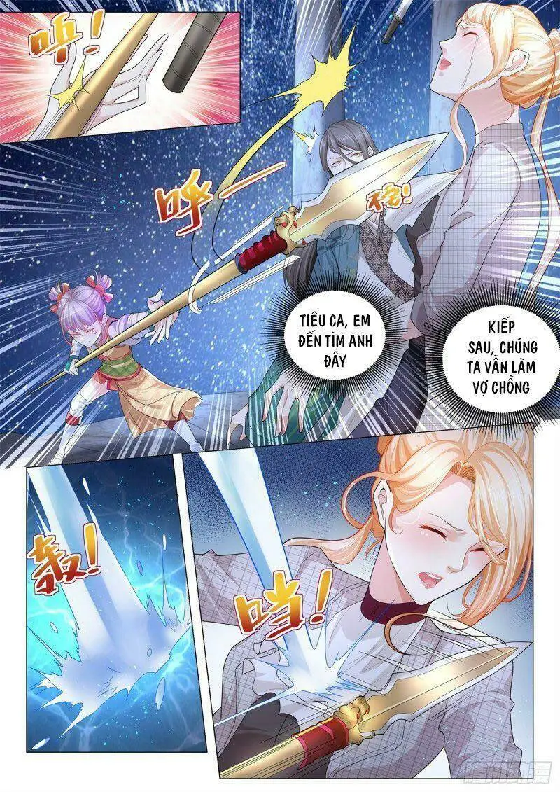 Chapter 211