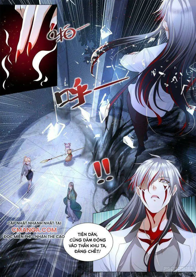 Chapter 211