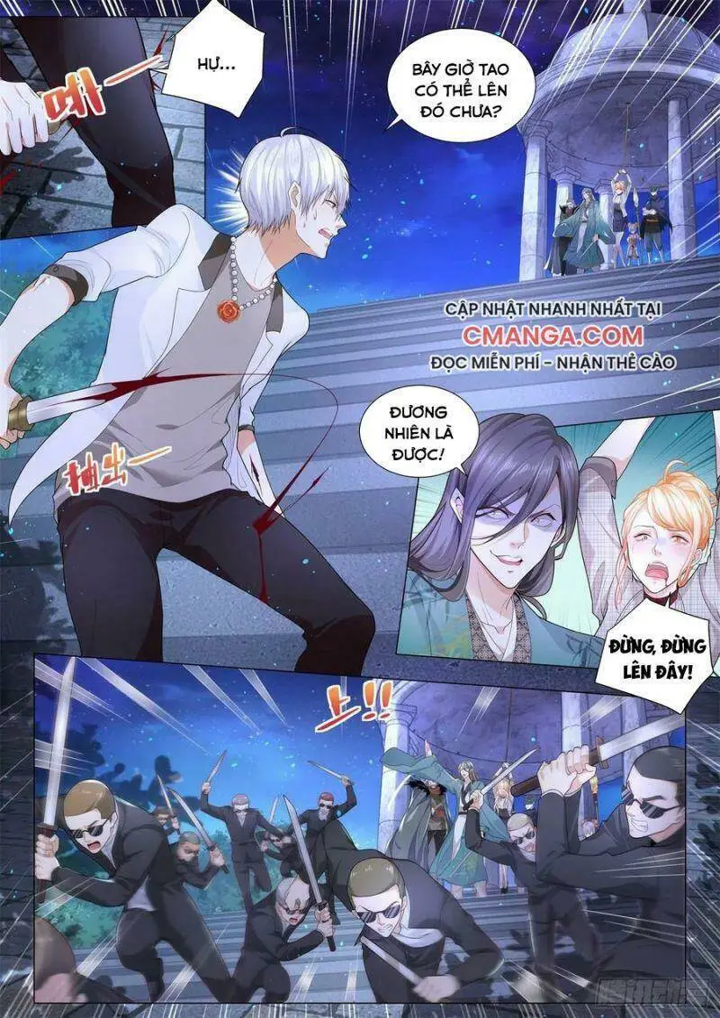 Chapter 210