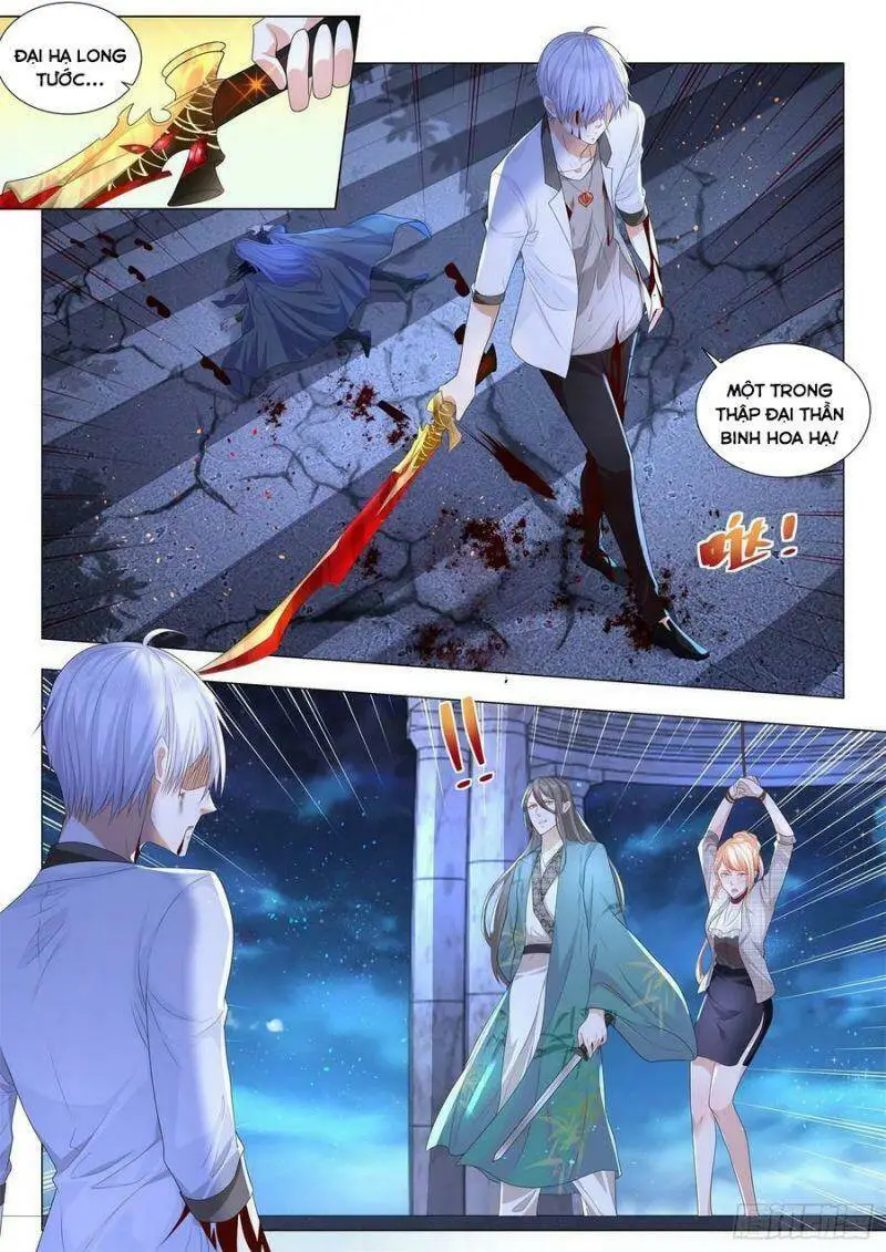 Chapter 210