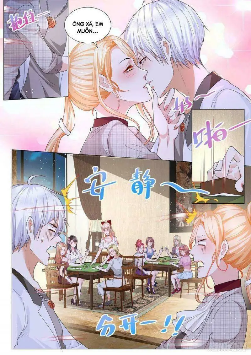Chapter 208