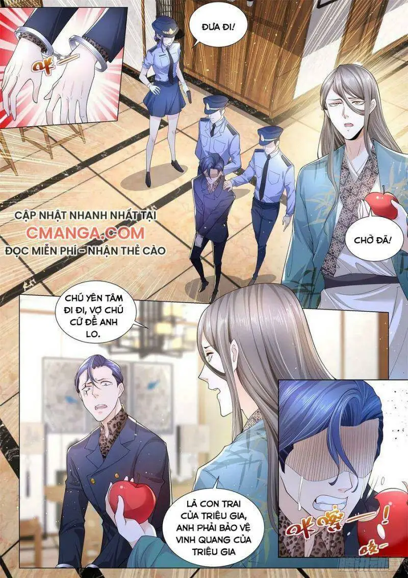 Chapter 206