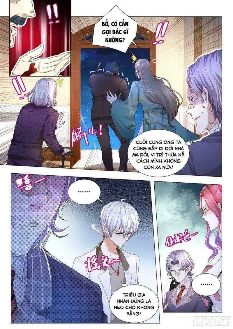 Chapter 206
