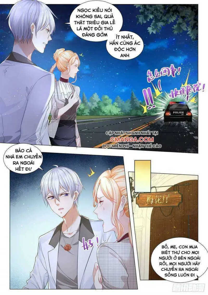 Chapter 206