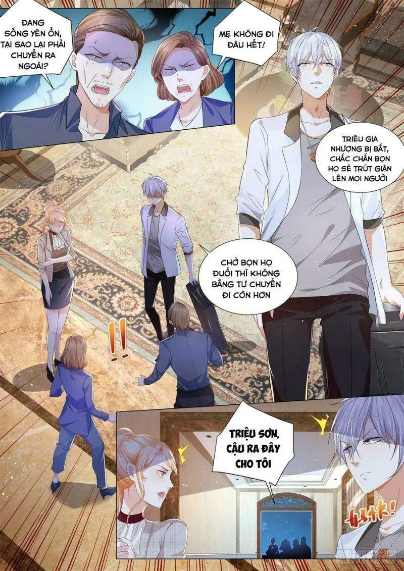 Chapter 206
