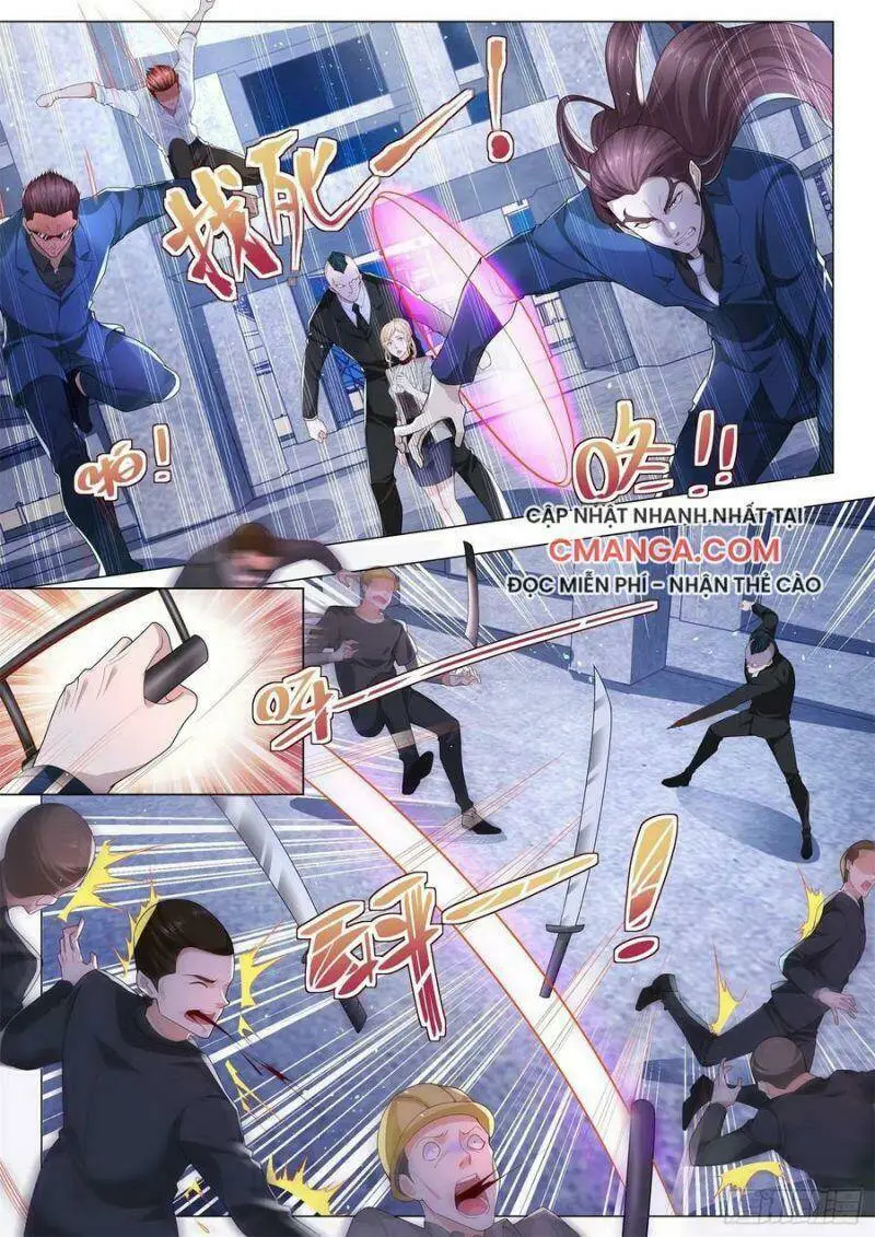Chapter 204