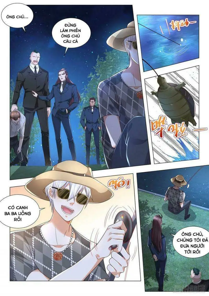 Chapter 204
