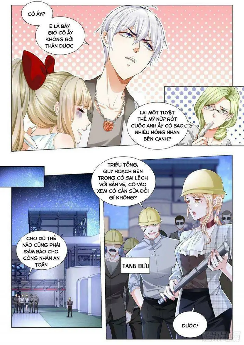 Chapter 203
