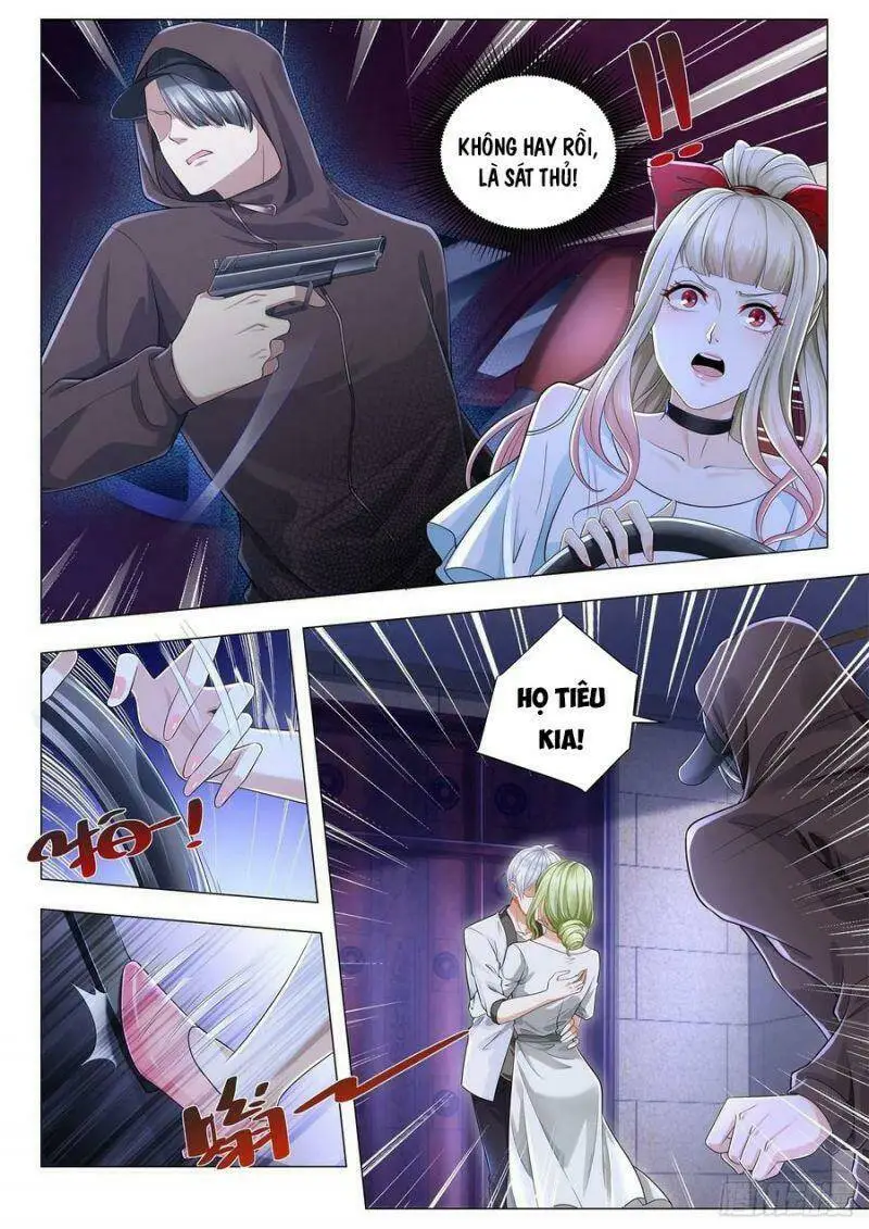 Chapter 203