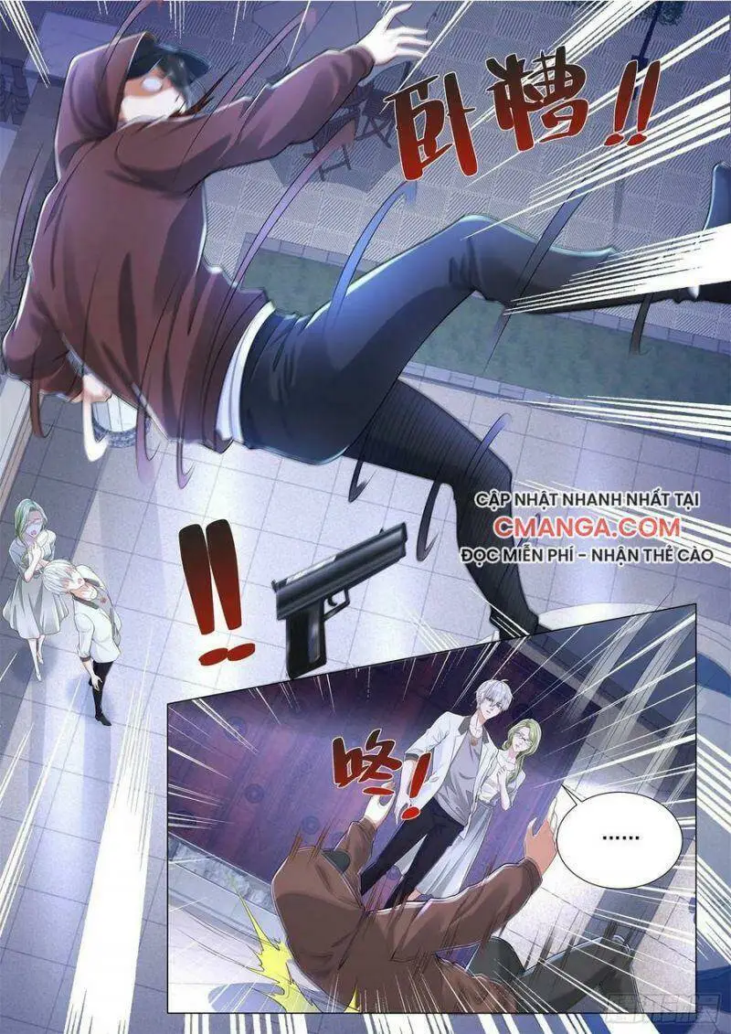Chapter 203