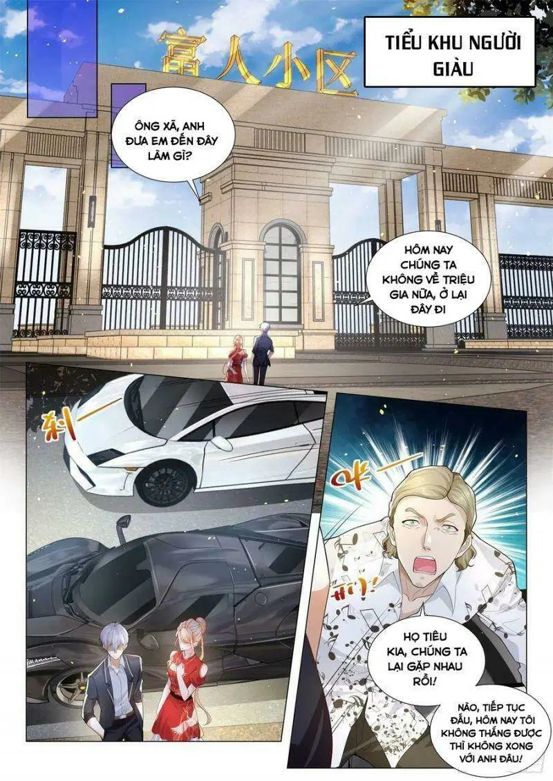 Chapter 199