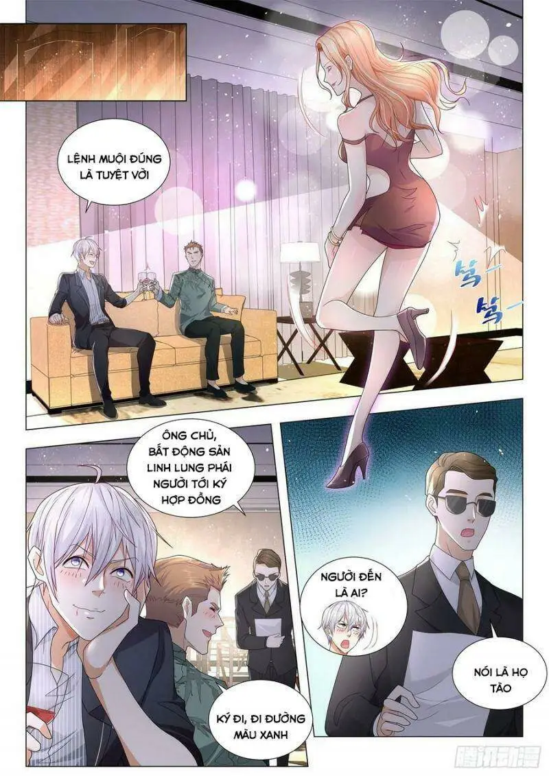 Chapter 196